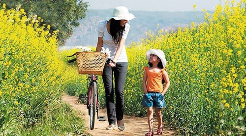 Ảnh đại diện